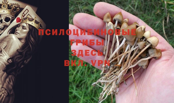 гидра Балахна