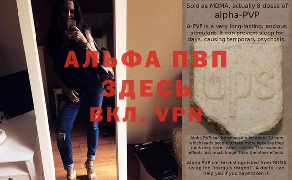 гидра Балахна