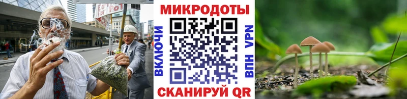 купить наркотики цена  MEGA онион  Псилоцибиновые грибы Psilocybine cubensis  Радужный 