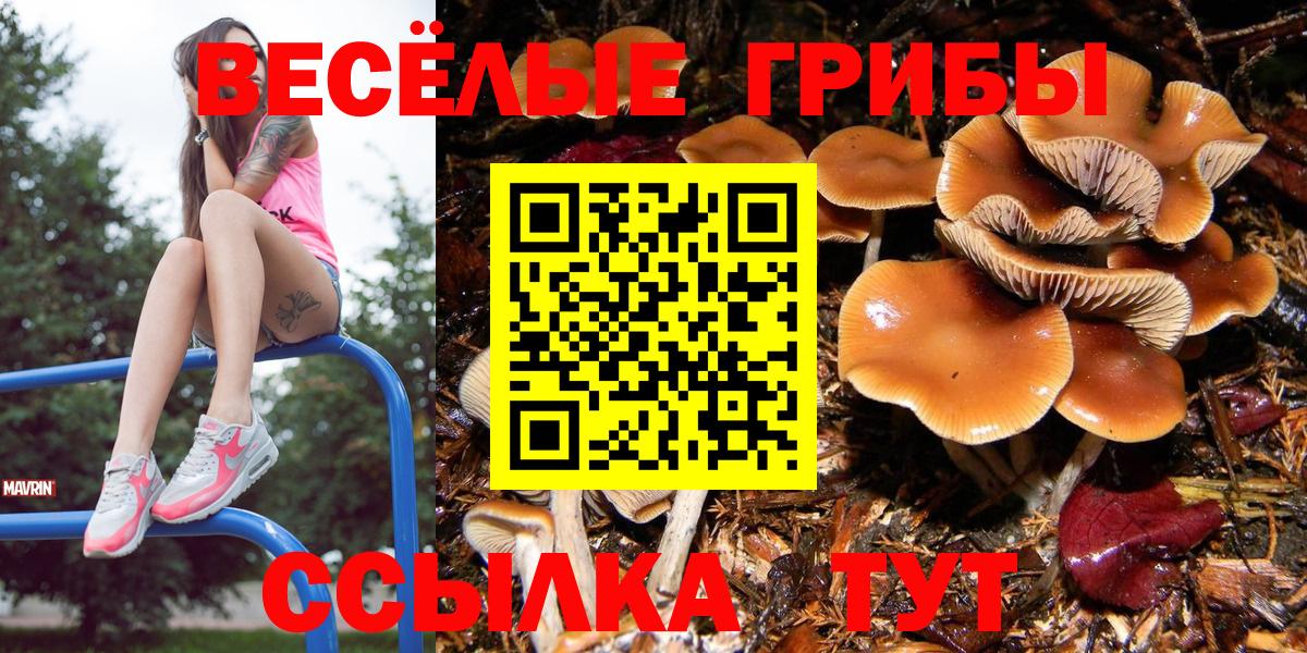 Псилоцибиновые грибы прущие грибы  Галлюциногенные грибы ЛСД  даркнет сайт  Вход с VPN  Радужный 